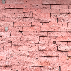 Cantermuro Rosa Mexicano