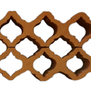 Celosia2