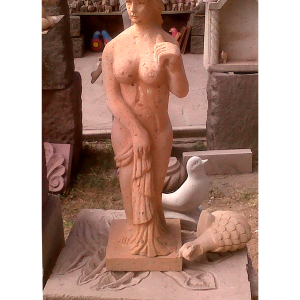 Figura 17