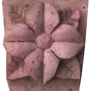Figura 21