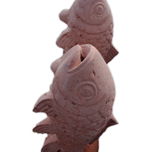 Figura 6